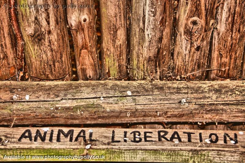 Animal Lib