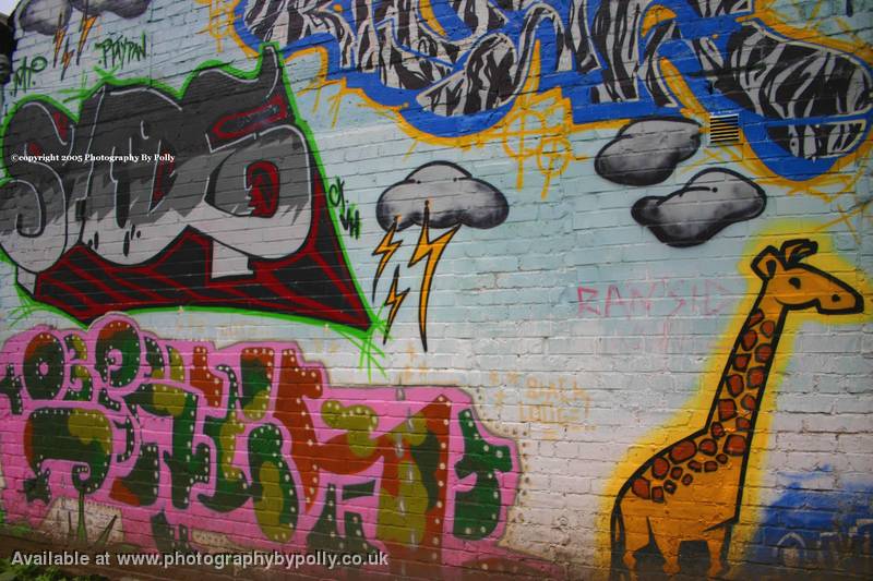 Giraffe Graffiti