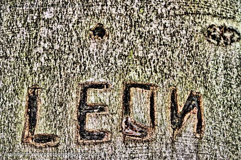 Leon