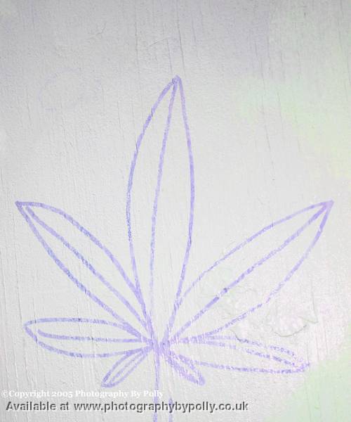 Light Leaf