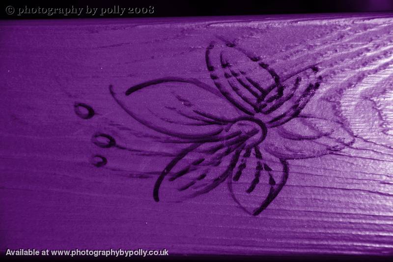 Purple Petal