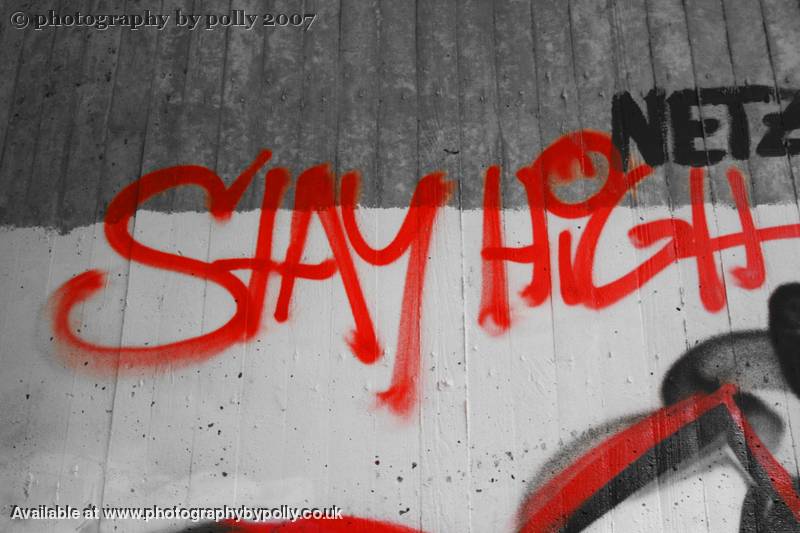 Stay High