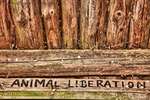 Animal Lib