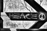 Peace 3