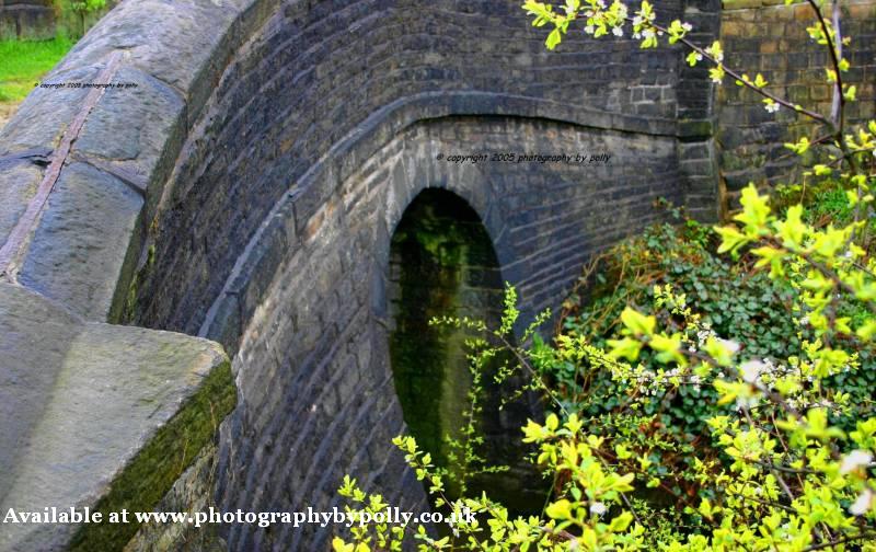 Bowed Bridge