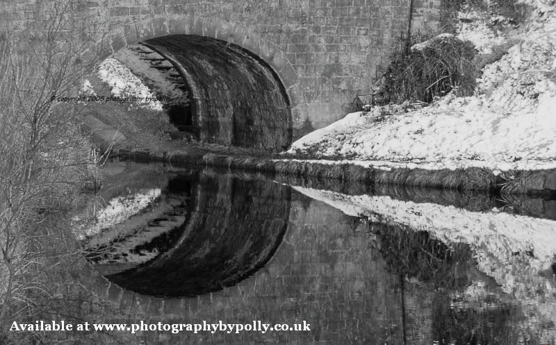 Bridge Reflection (1)