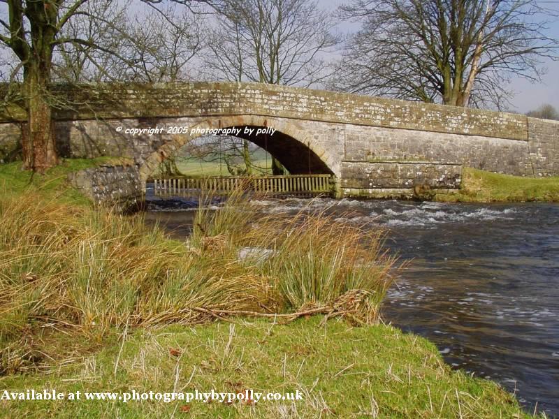 Bridge Catcher