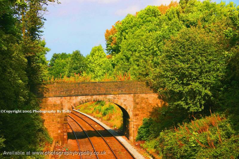 Bridge Flora