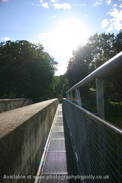 Bridge Rainbow