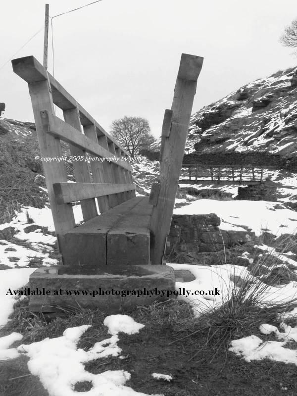 Stoat Bridge bw