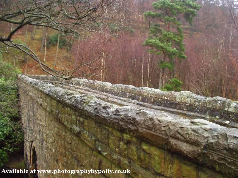 Derwent Valley