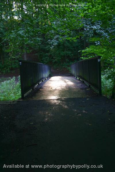 Evening Glint Bridge