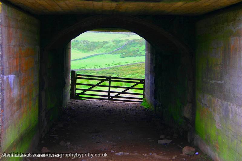 Field Tunnel