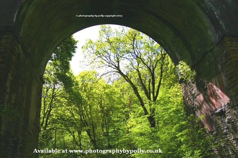 Green Arch