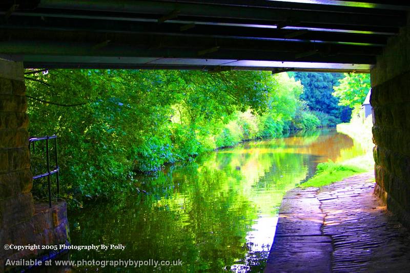 Green Waters