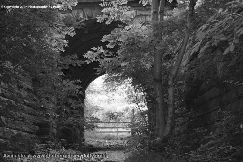 Leafy Bridge