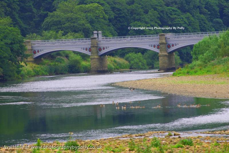 Metal Bridge