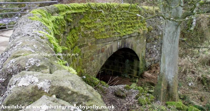 Moss Bridge