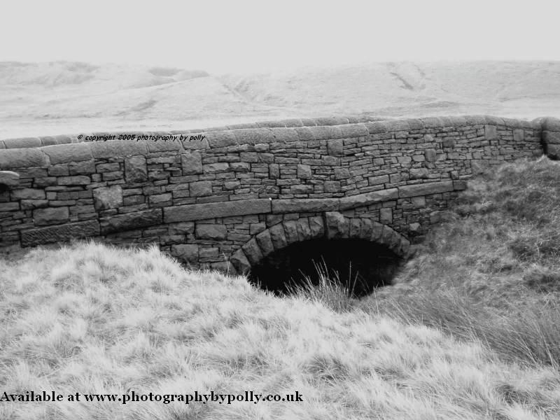 Mountain Bridge