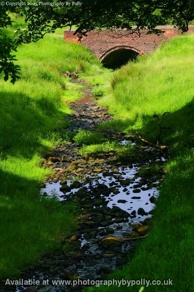 Peeping Bridge