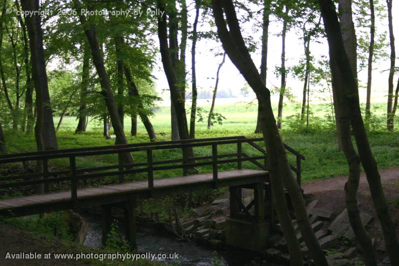 Picnic Bridge 2