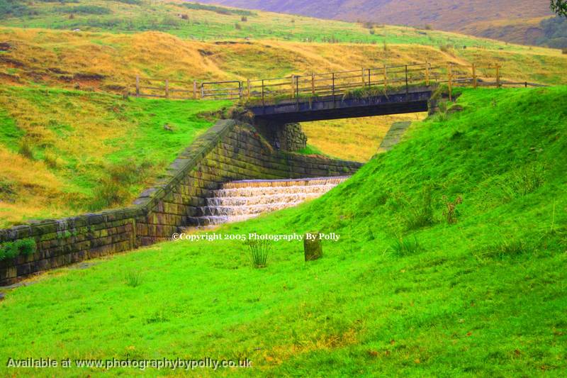 Ressy Bridge