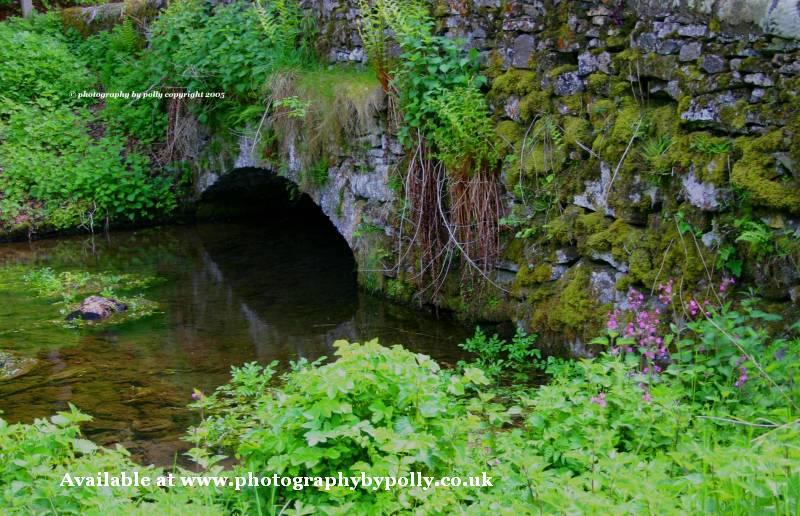 Shallow Bridge