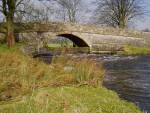 Bridge Catcher