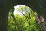 Green Arch