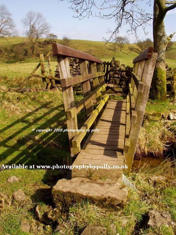 Trickle Bridge