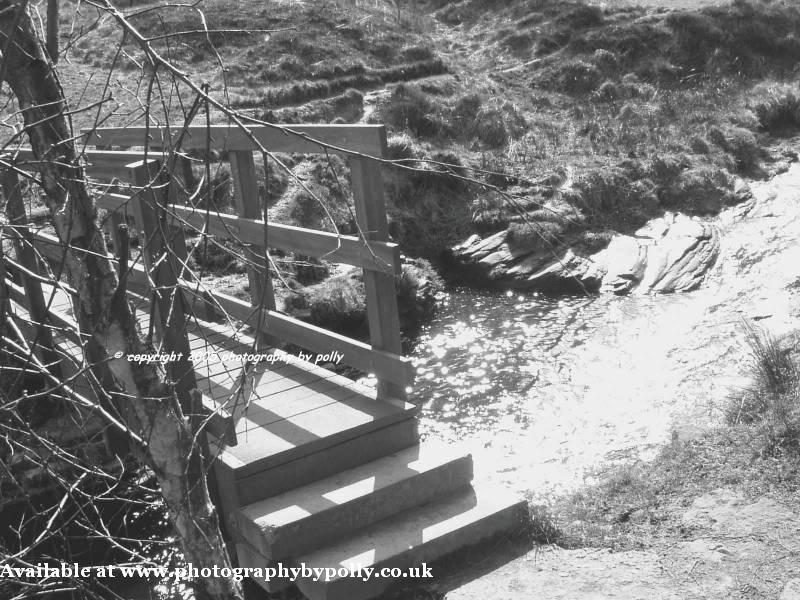 Water Glint Bridge