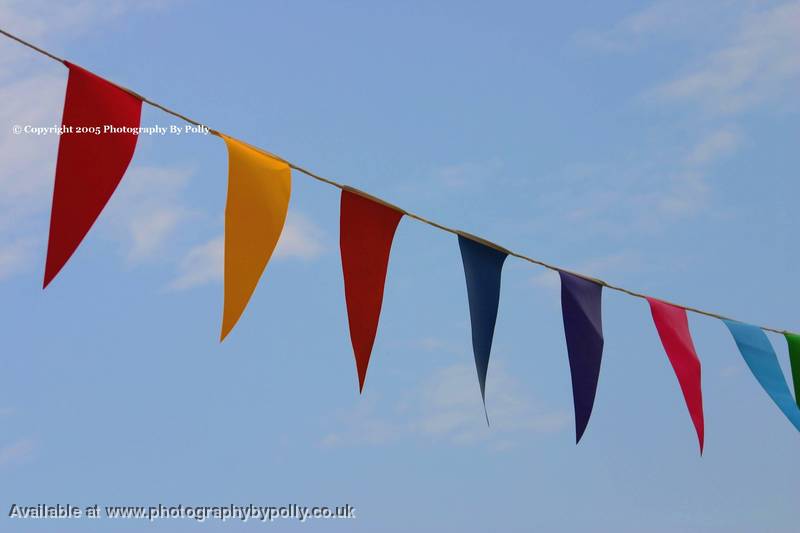 Bunting