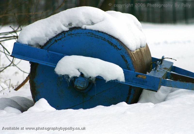 Chilled Blue