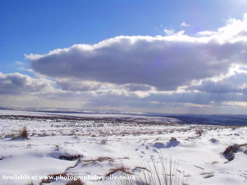 Footsteps In The Snow