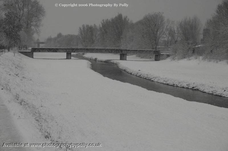 Frozen Walk