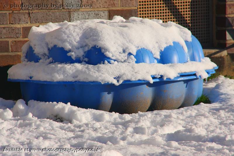 Ice Clam