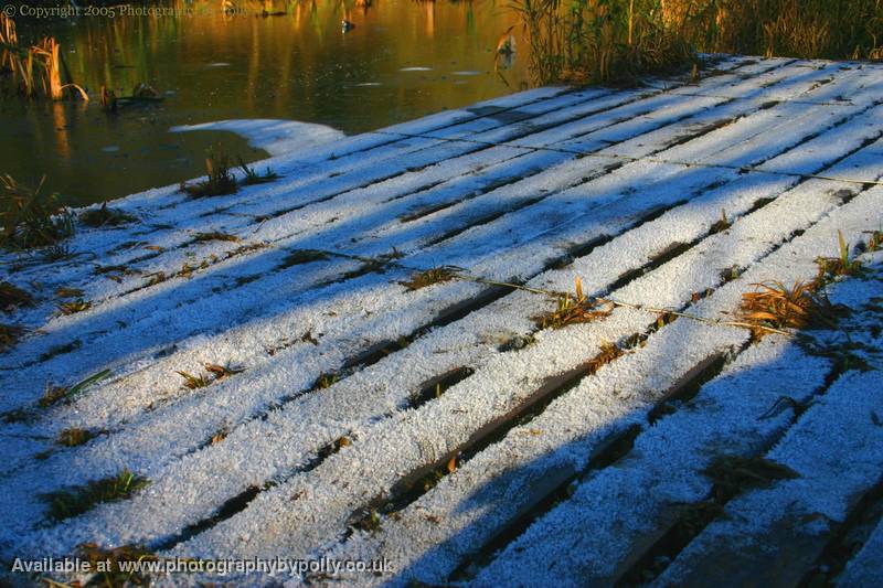 Ice Deck