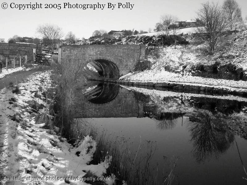 Icy River