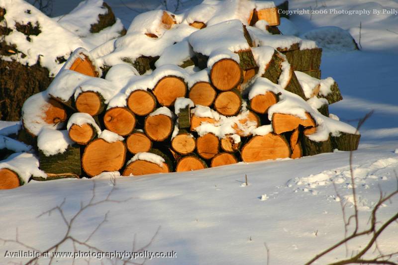 Snow Pile