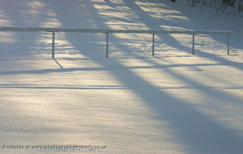 Snowy Shadow Fields