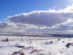 Footsteps In The Snow