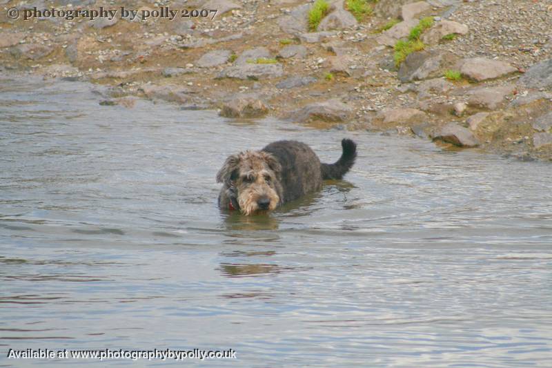 Wet Womble