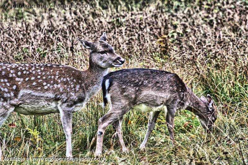 Guarding 2