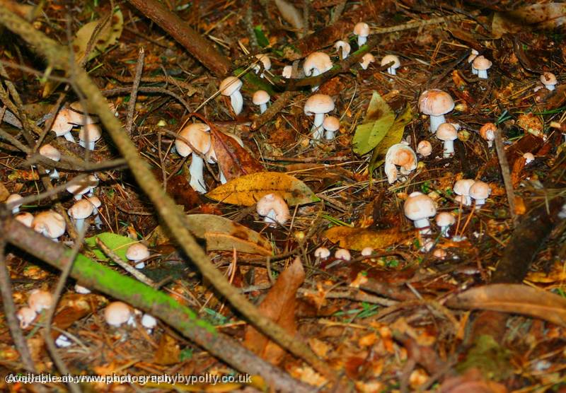 Smurfs Ville