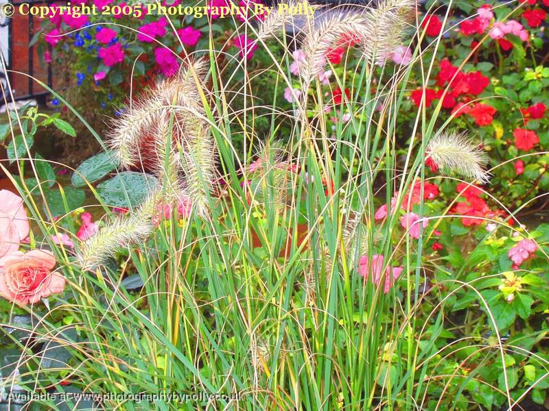 Spikes Galore