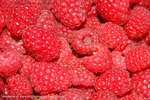 Raspberries