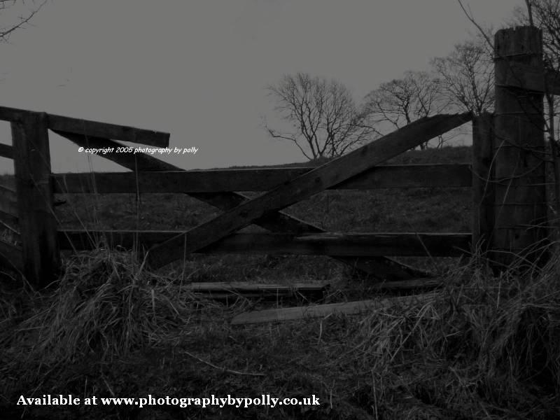 Desolate Gate