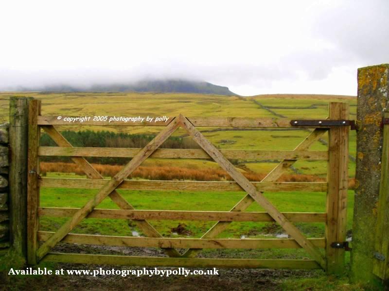 Misty Gate Penyghent