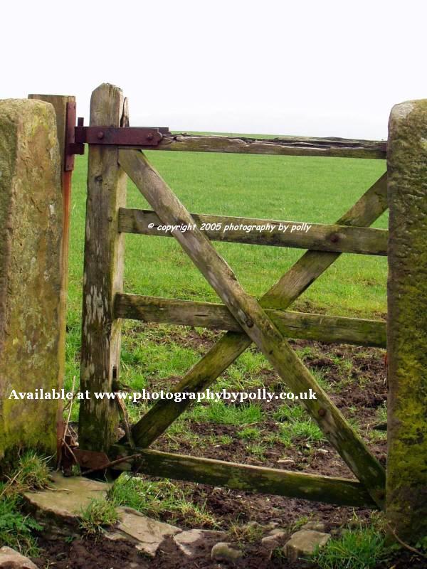 Old Field Gate