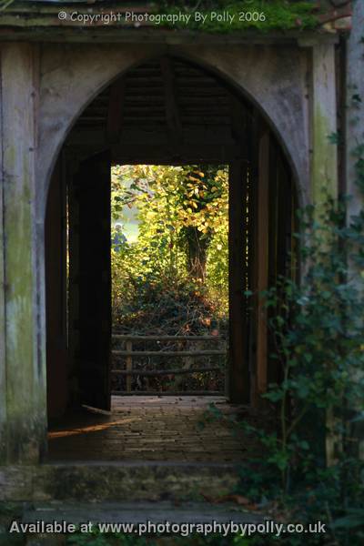 Sunlit Arch